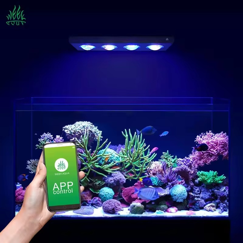 Aquarium Blue Marine - WEEK AQUA Z400 120W Aquarium Marine