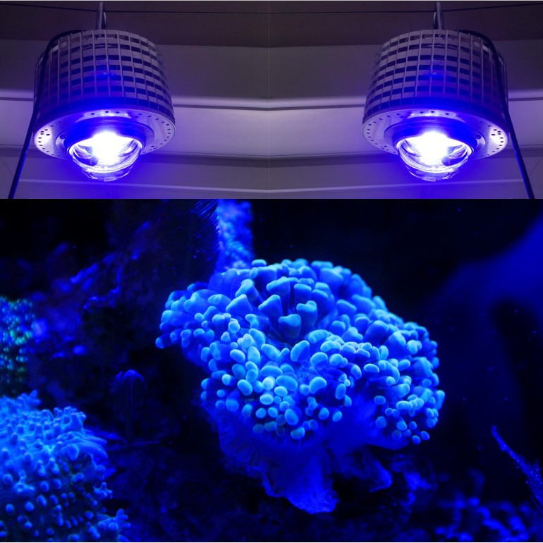 Aquarium Blue Marine - LED Aquarium Lighting Full Spectrum, 100W,