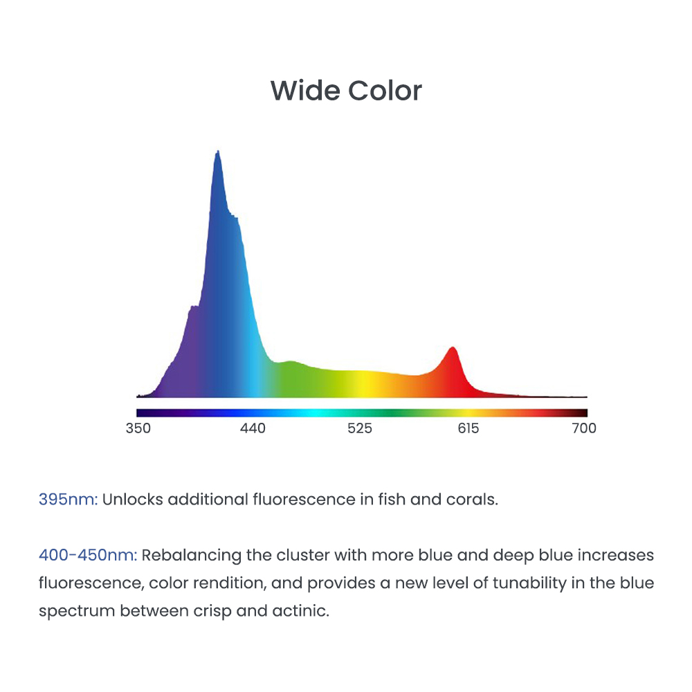 A8 PRO II Max/Blue 240W CREE L - đánh giá và giá Aquarium Blue Marine