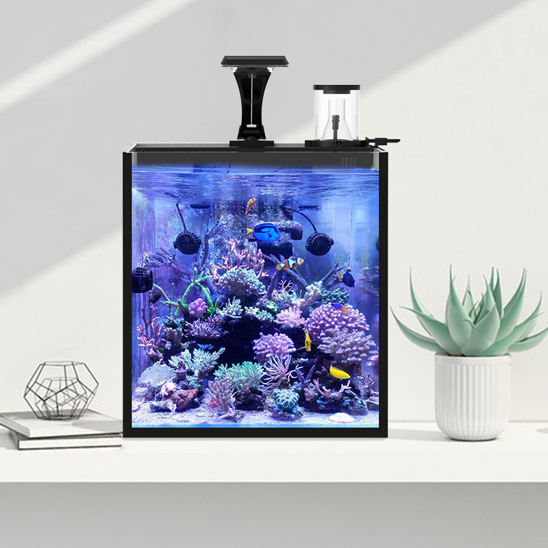 Ultra Clear Glass Mini Salt Wa - đánh giá và giá Aquarium Marine Salt