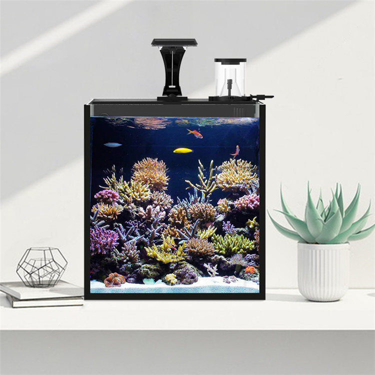 Ultra Clear Glass Mini Salt Wa - đánh giá và giá Aquarium Marine Salt