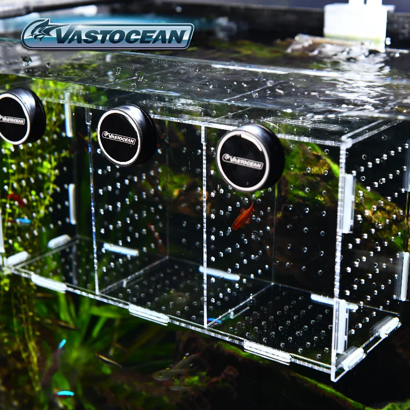 VASTOCEAN Fish Tank Magnetic C - đánh giá và giá Marine Aquarium With Sump