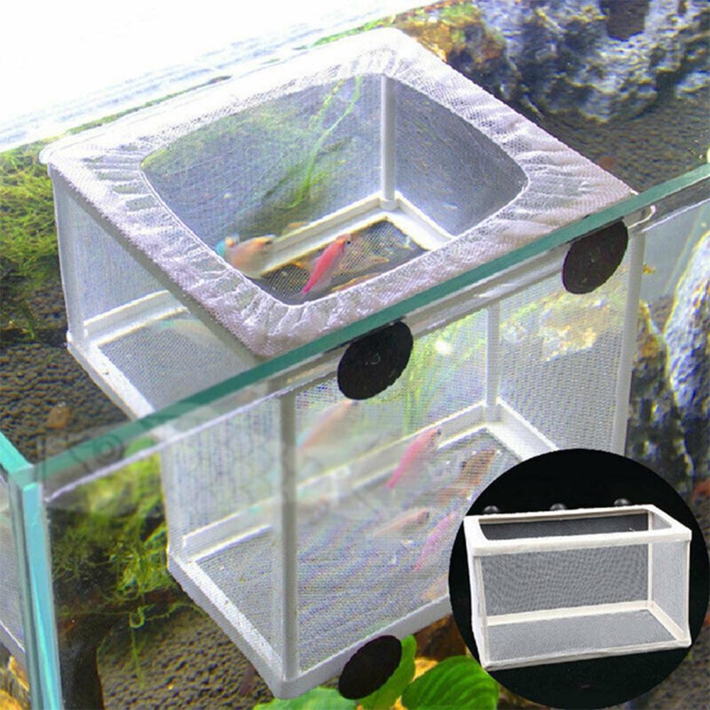 Aquarium Fish Breeder Box with - đánh giá và giá Marine Aquarium With Sump