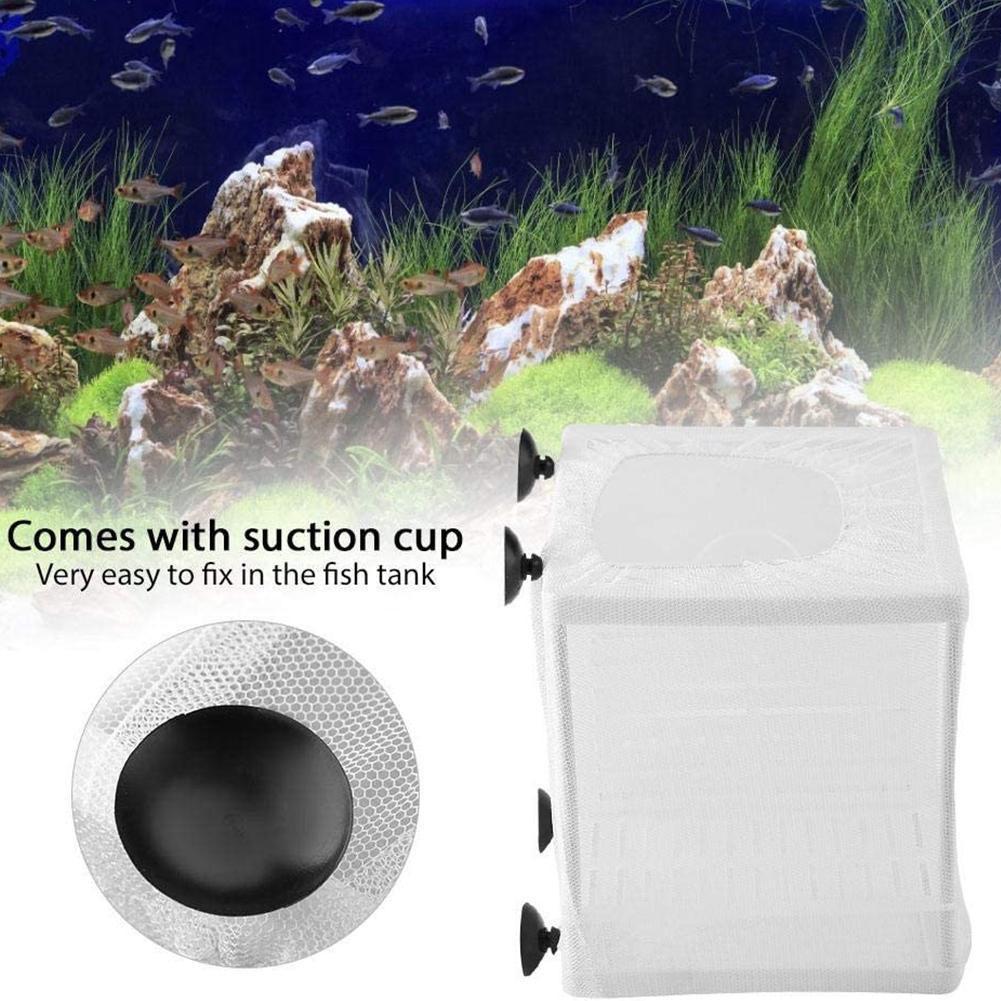 Aquarium Fish Breeder Box with - đánh giá và giá Marine Aquarium With Sump