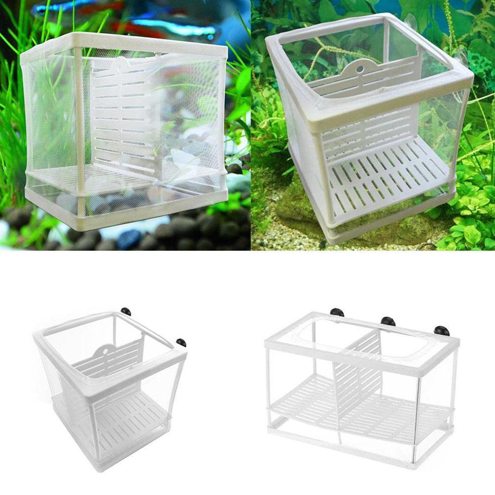 Aquarium Fish Breeder Box with - đánh giá và giá Marine Aquarium With Sump