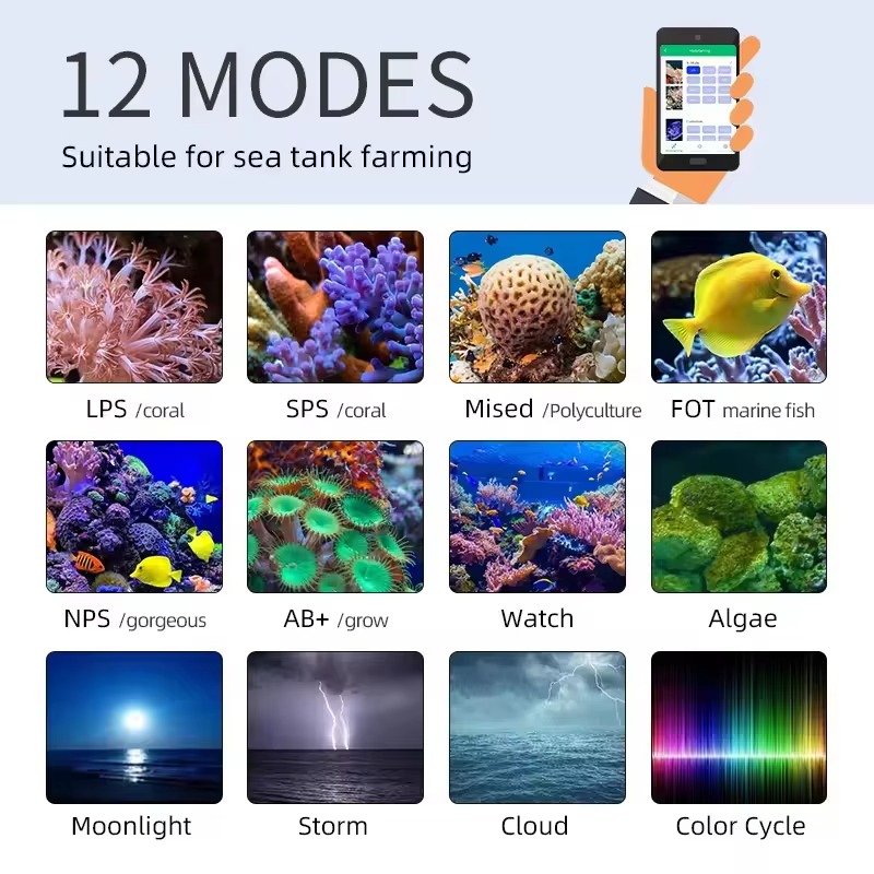 WEEK AQUA Z400 120W Aquarium M - đánh giá và giá Aquarium Blue Marine