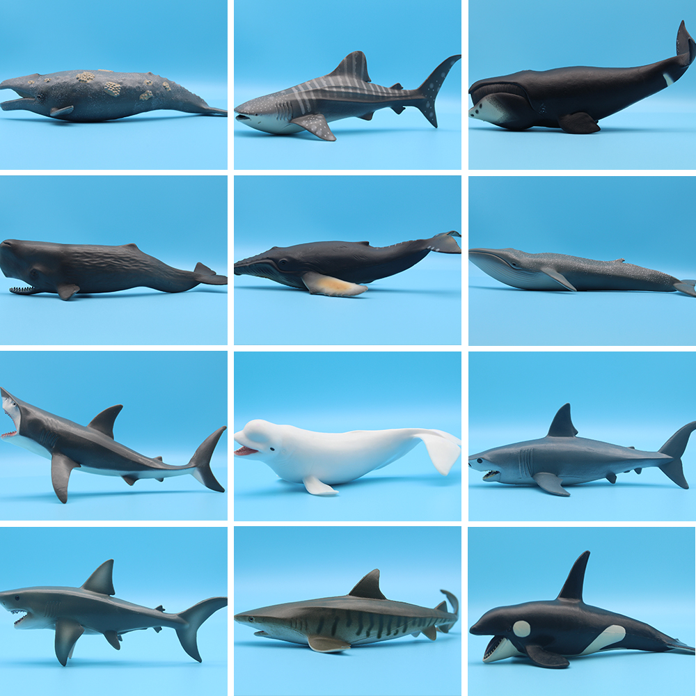 Ocean Sea Life Simulation Kill - đánh giá và giá Aquarium Blue Marine