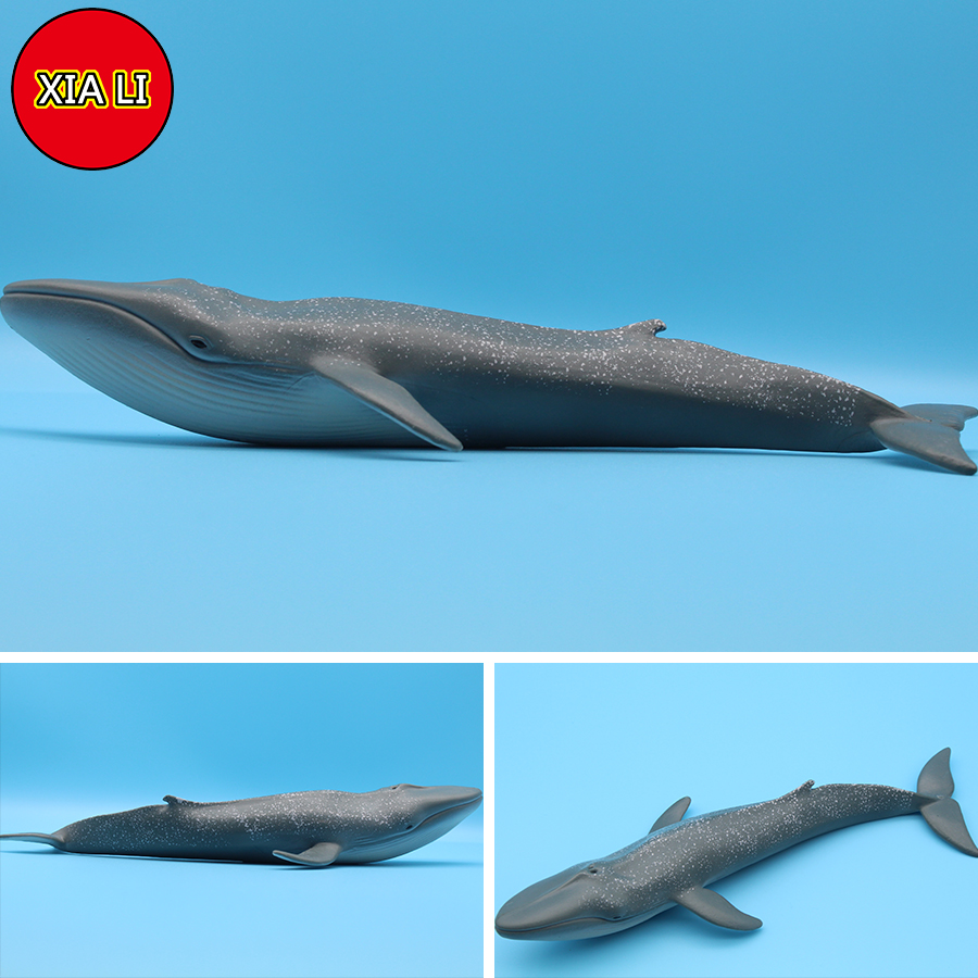 Ocean Sea Life Simulation Kill - đánh giá và giá Aquarium Blue Marine