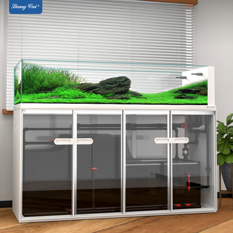 Large Modern Style Glass Fish  - đánh giá và giá Marine Aquarium Tank For Sale