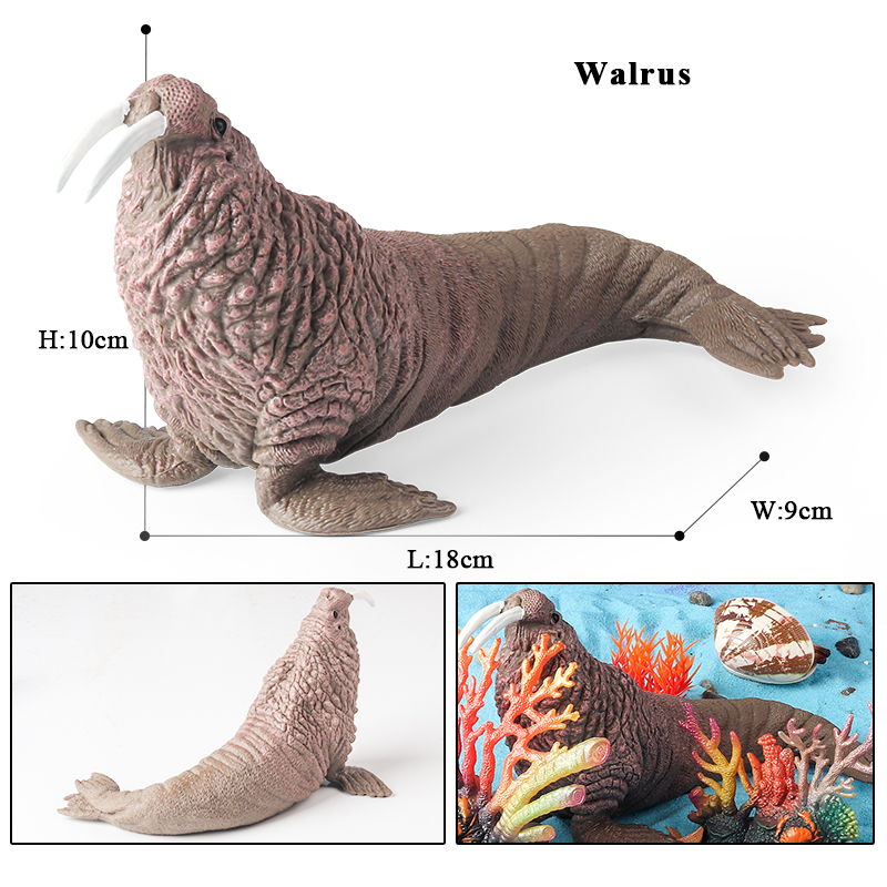 Oenux New Sea Life Seal Sea li - đánh giá và giá Aquarium Blue Marine