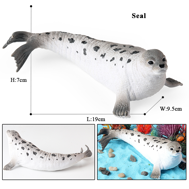 Oenux New Sea Life Seal Sea li - đánh giá và giá Aquarium Blue Marine