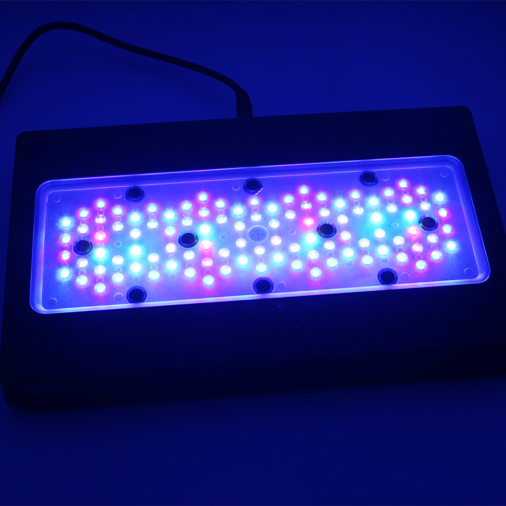 A8SE pro II MAX Blue 240W Mari - đánh giá và giá Aquarium Blue Marine