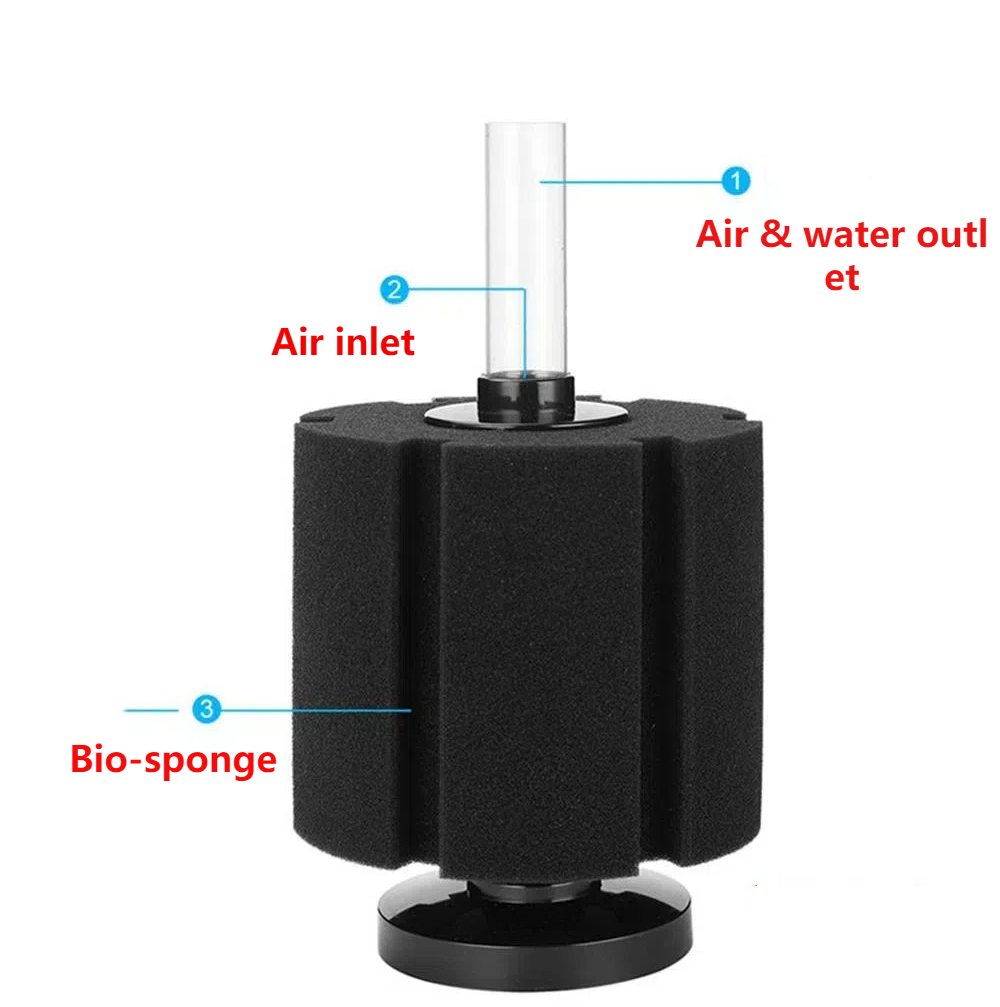 Aquarium Filter Sponge For Fis - đánh giá và giá Marine Aquarium Overflow