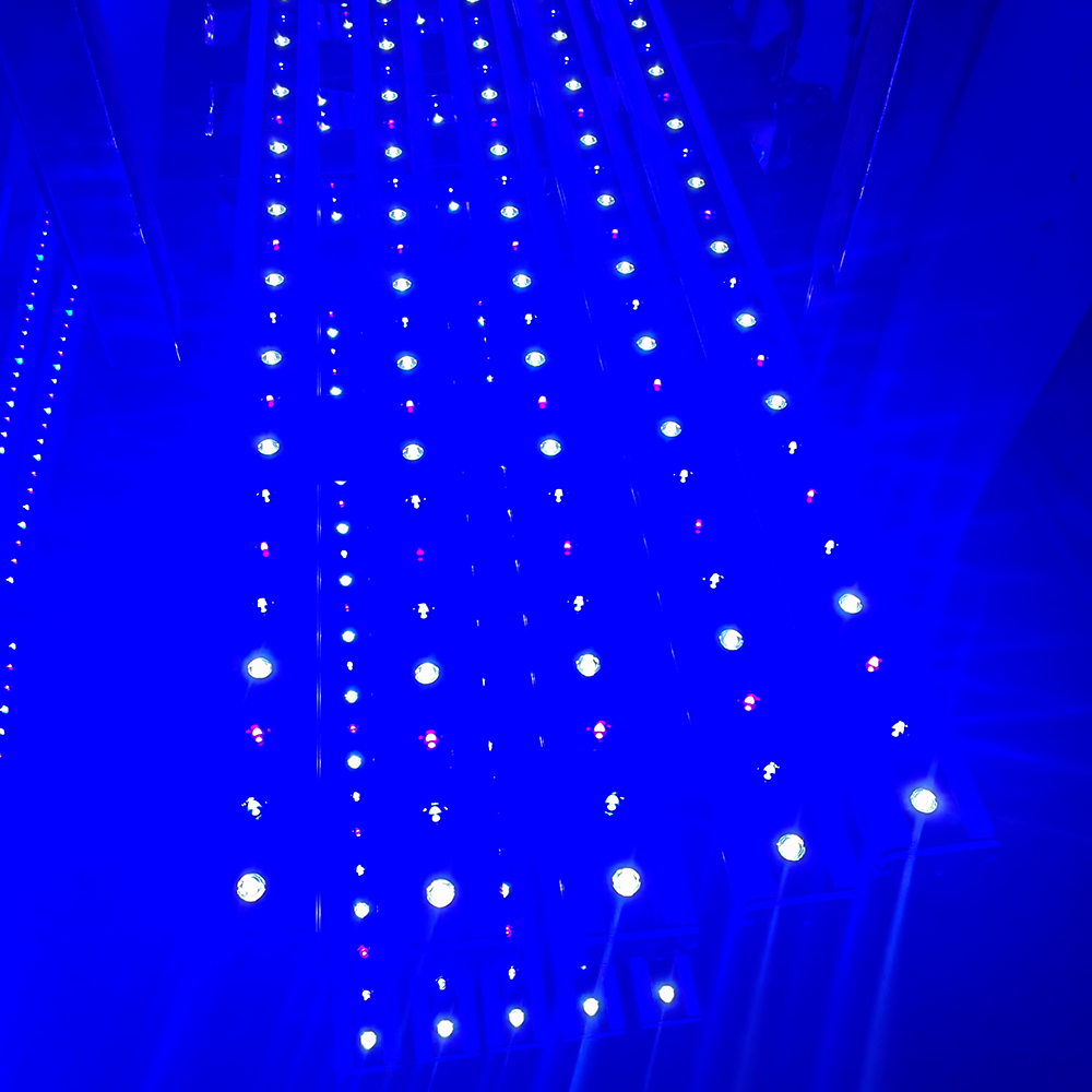 NEO Series Timer Blue Sky/Blue - đánh giá và giá Aquarium Blue Marine