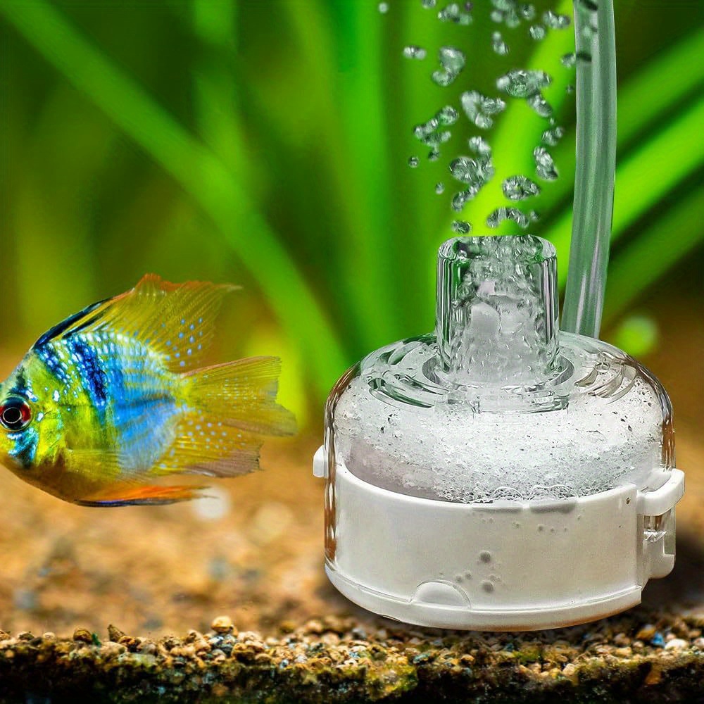 Small Ultra Thin Aquarium Filt - đánh giá và giá Marine Aquarium Overflow
