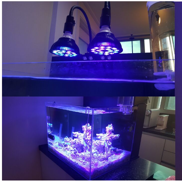 Free customize LED Aquarium li - đánh giá và giá Marine Aquarium With Sump