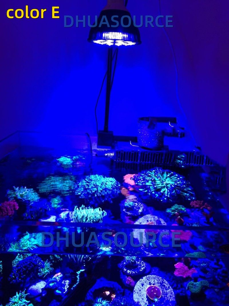 Free customize LED Aquarium li - đánh giá và giá Marine Aquarium With Sump