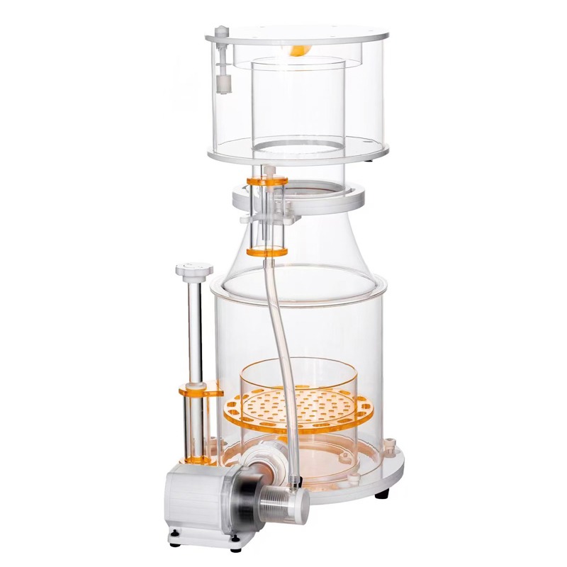【Best-selling】DC Powered Preci - đánh giá và giá Aquarium & Marine Museum Universiti Malaysia Sabah Kota Kinabalu Sabah Photos