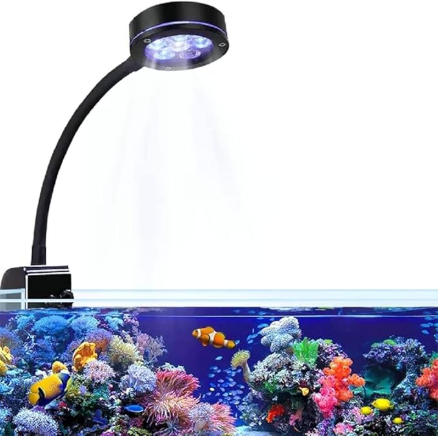 Aquarium LED Coral Reef Light  - đánh giá và giá Aquarium Blue Marine