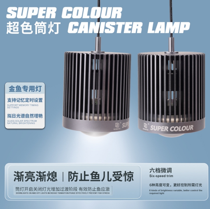 LED Super Color 3D Hot Sale Fi - đánh giá và giá Marine Aquarium Tank For Sale