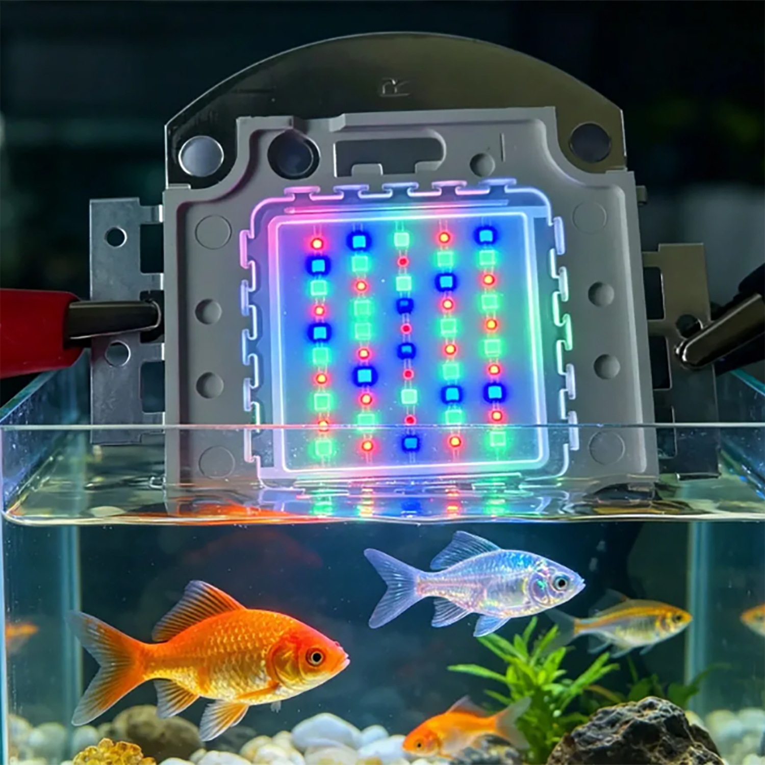 50W 60W 70W 100W RGB 26-28V Hi - đánh giá và giá Aquarium Blue Marine