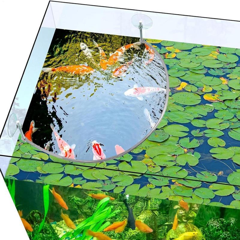 Floating Plant Corral Fish Fee - đánh giá và giá Aquarium Marine Filter