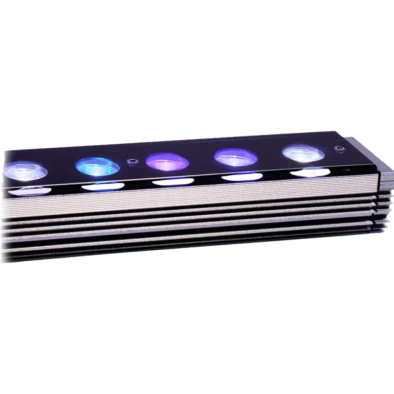 Reef Emitting Diode Aquarium 6 - đánh giá và giá Aquarium Blue Marine