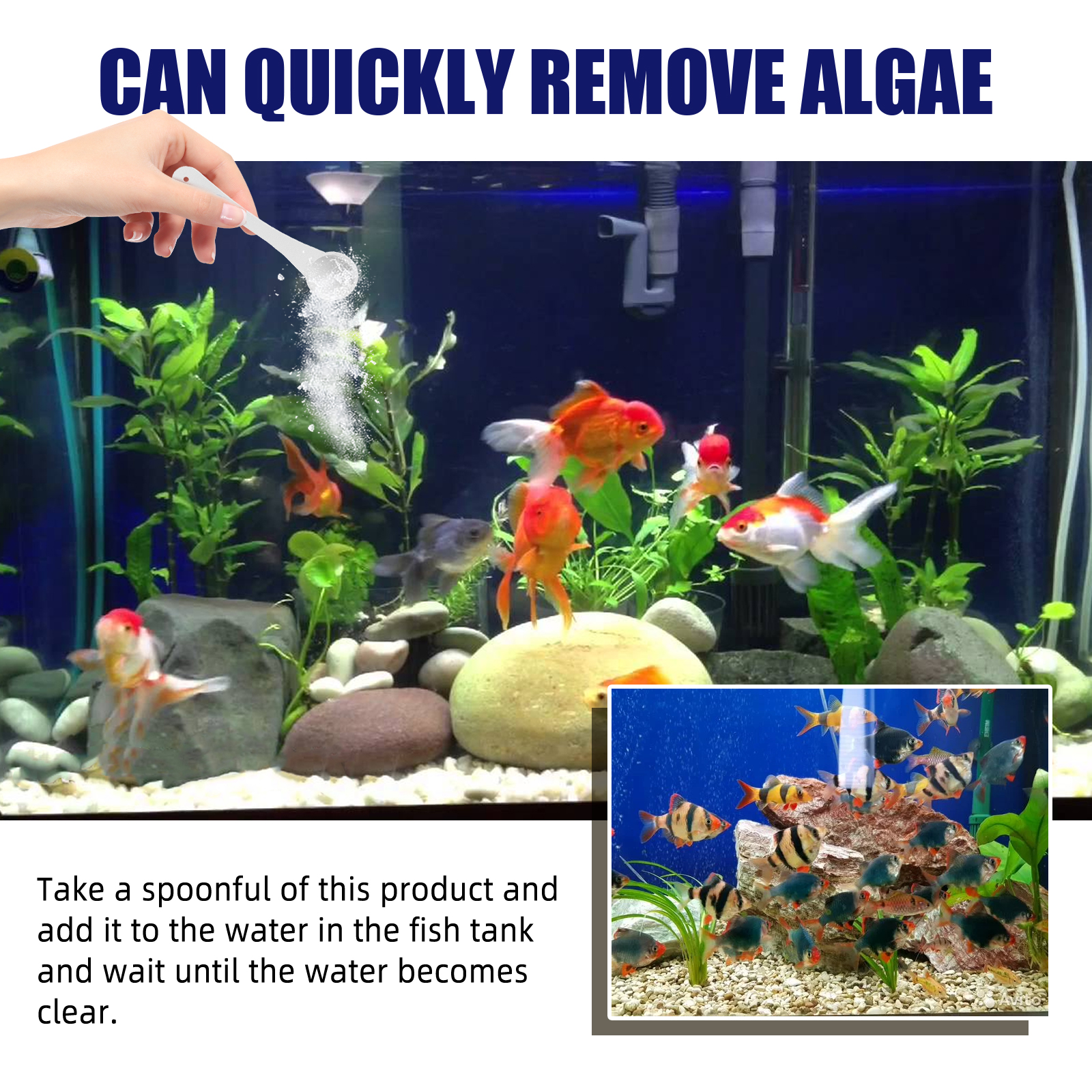 Algae Removal Quickly Removing - đánh giá và giá Aquarium Marine Salt
