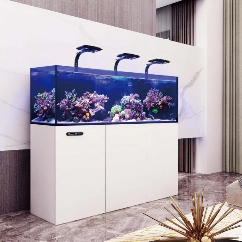 Custom Ultra Clear Glass Large - đánh giá và giá Aquarium Marine Salt