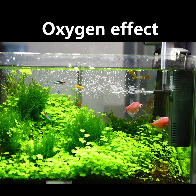 SUNSUN mini nano 111B 311B 611 - đánh giá và giá Marine Aquarium Uv Sterilizer